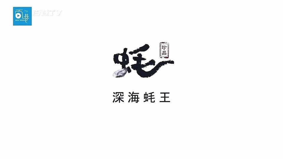 生蚝logo图片大全集图片