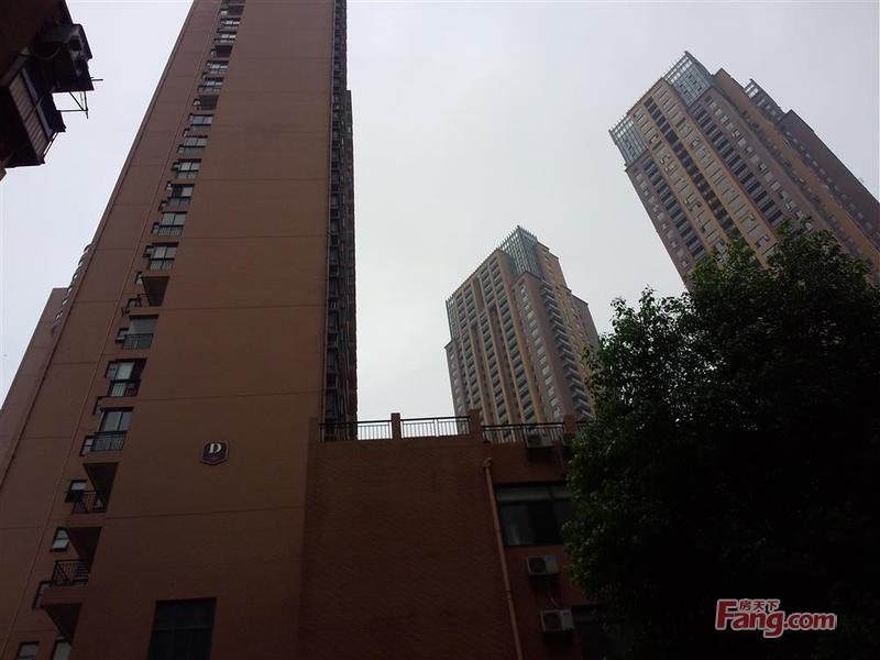 【武汉大智路】地址电话路线地图