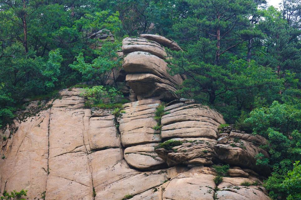 猴石国家森林公园图片