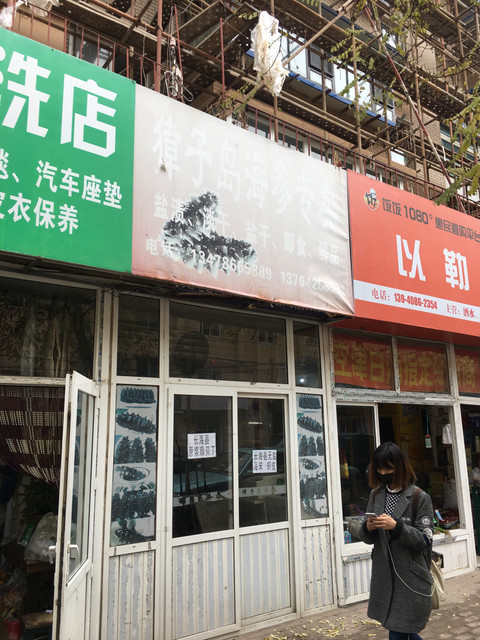 棒棰岛海参专卖店图片