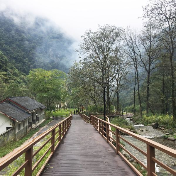 蜂桶寨国家级自然保护区