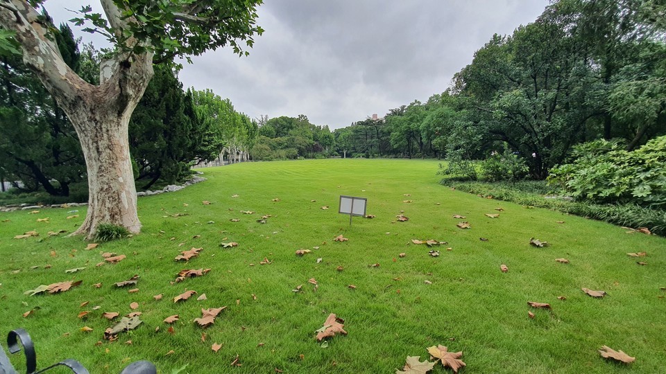 杨浦公园图片