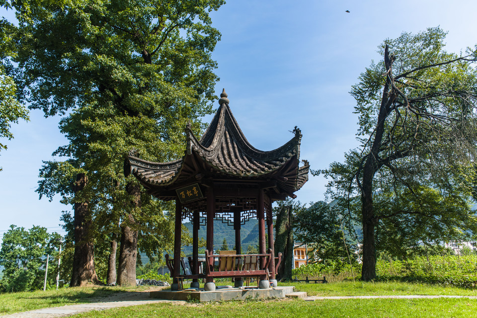 怎么去,怎么走,在哪,在哪里,在哪儿):黄山市黟县碧阳镇南屏村电话