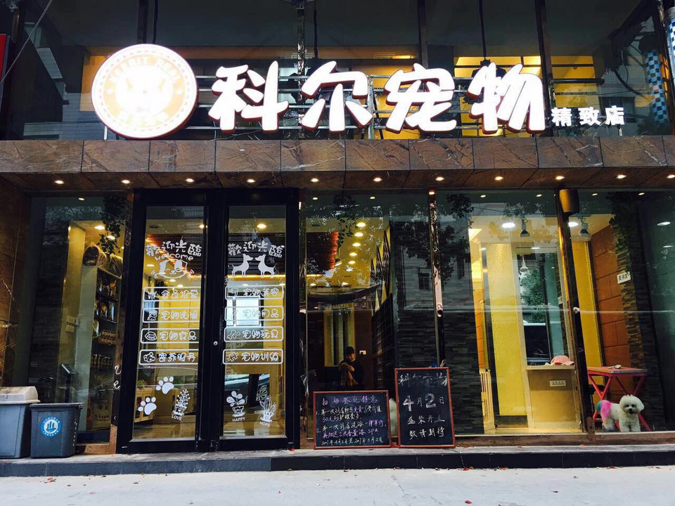 武汉宠物市场