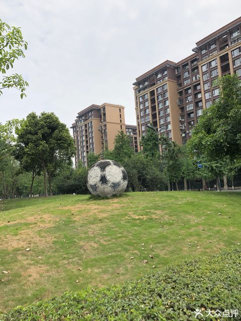 成都谢菲联足球俱乐部(金河路)图片