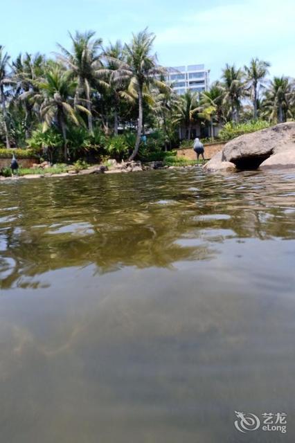 陵水海南三亚清水湾海景园景民宿(8号店)