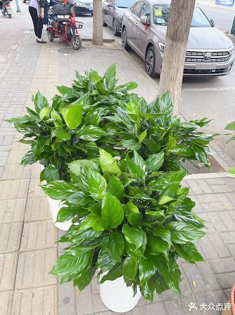 【雏菊城马驹桥】地址,电话,路线,周边设施_360地图