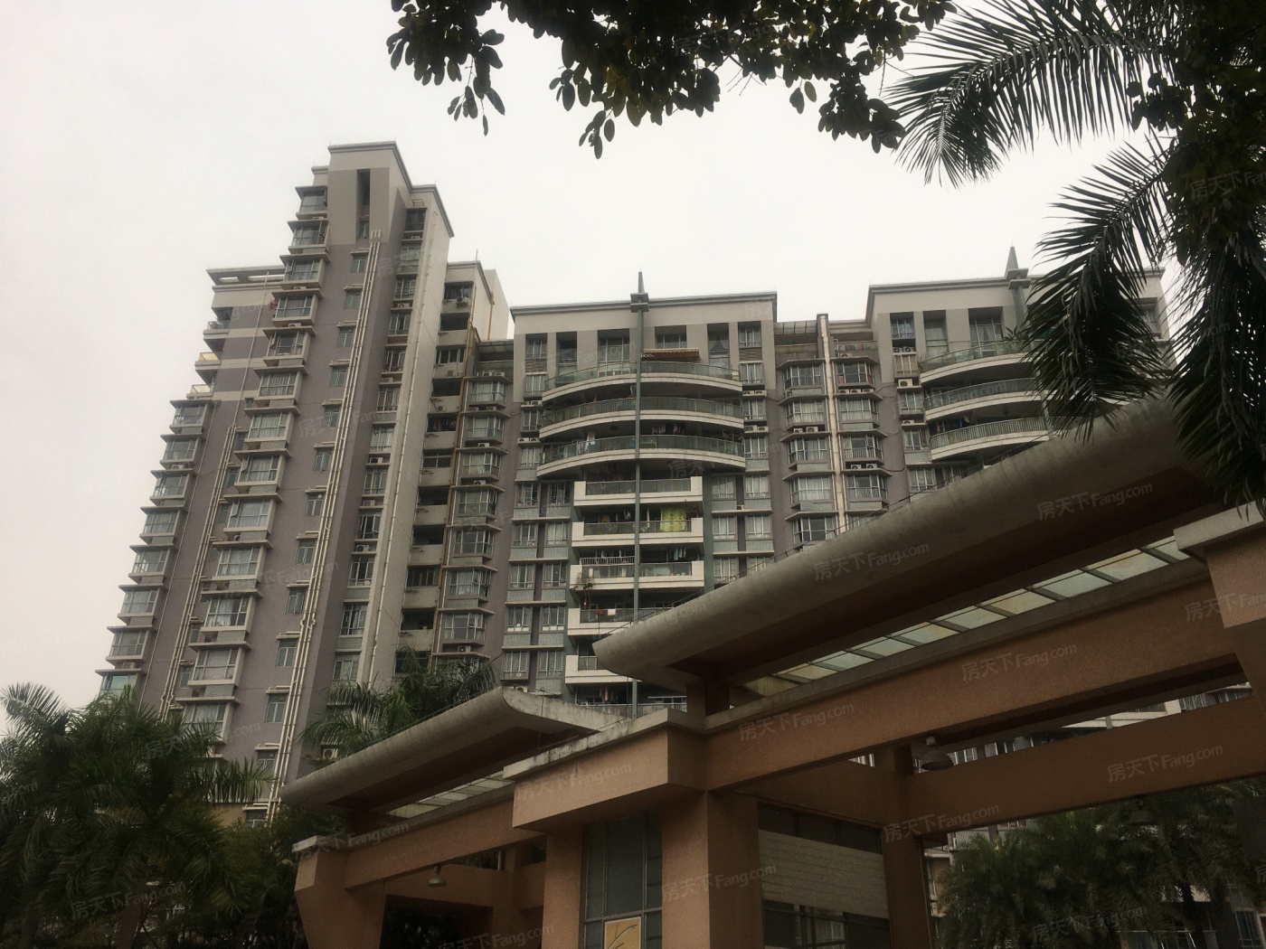 丽江花园左岸图片