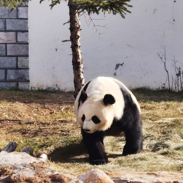 大青山野生動物園