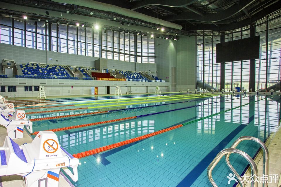 奥体中心游泳馆图片