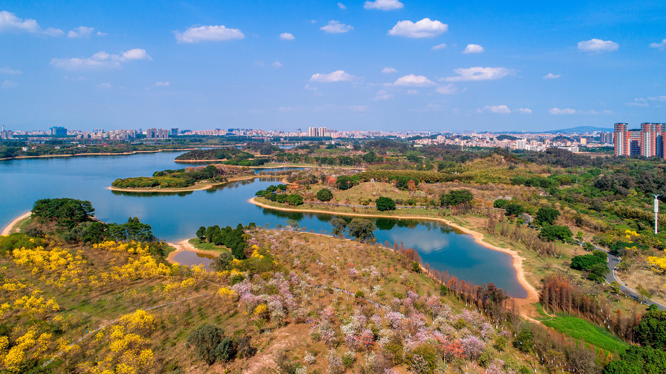 怎么去,怎么走,在哪,在哪里,在哪儿):东莞市大朗镇滨湖路东莞市松山湖