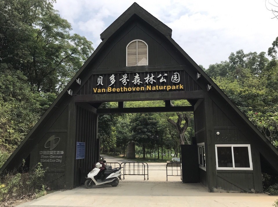 贝多芬森林公园图片