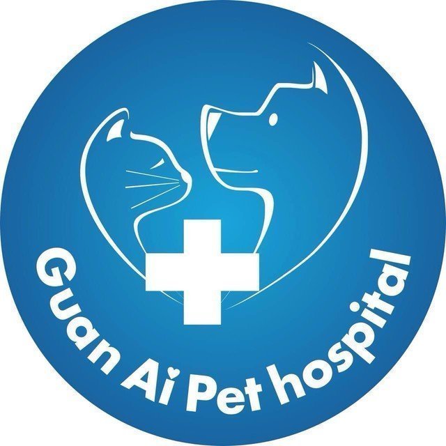 关爱宠物诊所(岳州路总店)图片