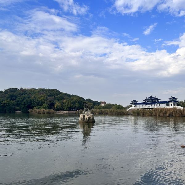 鼋头渚风景区(鼋头渚风景区樱花开放时间)