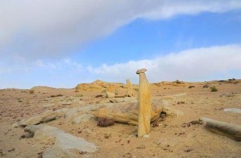 诺木洪城遗址地址(位置,怎么去,怎么走,在哪,在哪里,在哪儿):海西蒙古