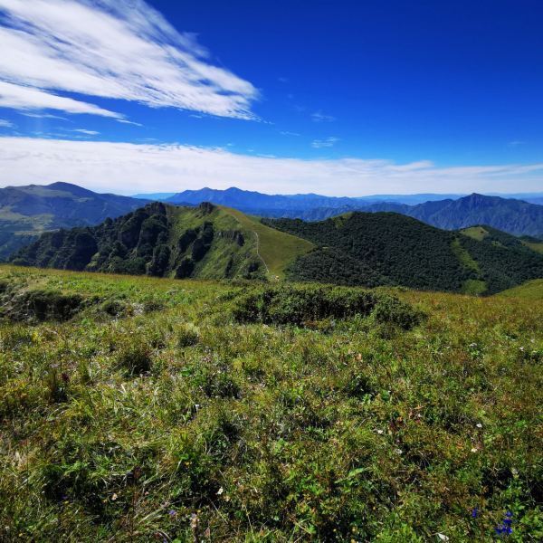 门头沟区,从栢峪沿着小路上山,徒步18公里后可达北灵山,途径黄草梁,在