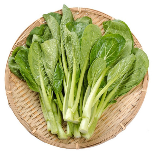 有机广东菜心图片