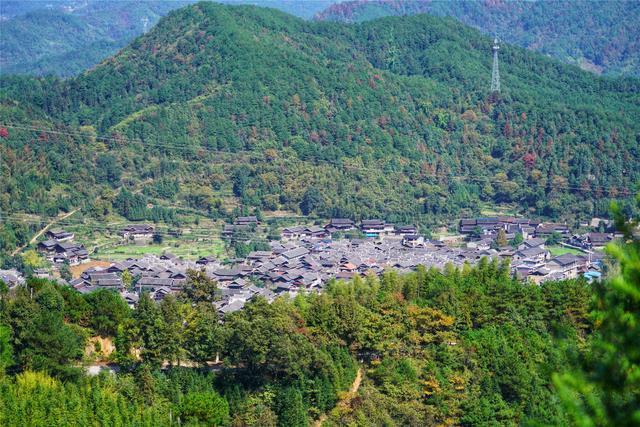 電話:地址(位置,怎麼去,怎麼走,在哪,在哪裡,在哪兒):懷化市會同縣林