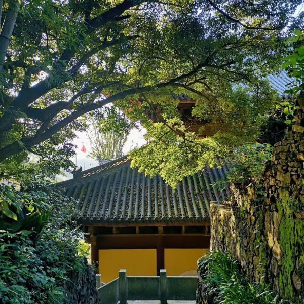 电话:推荐菜:介绍:地址(在哪里):东明寺位于杭州市余杭