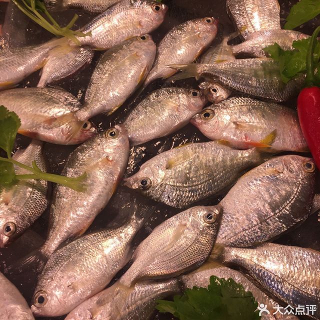 日日鲜汕头鱼仔店