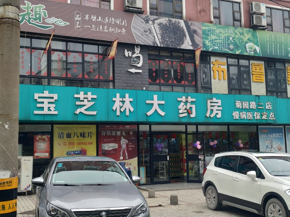 宝芝林大药房图片