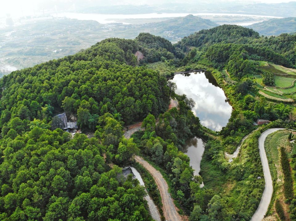 重庆巴南区旅游景点