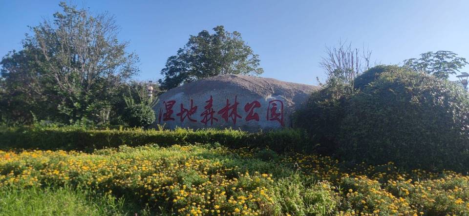 地址(在哪里):淮安森林公园位于淮安市生态文旅区翔宇大道介绍:标签
