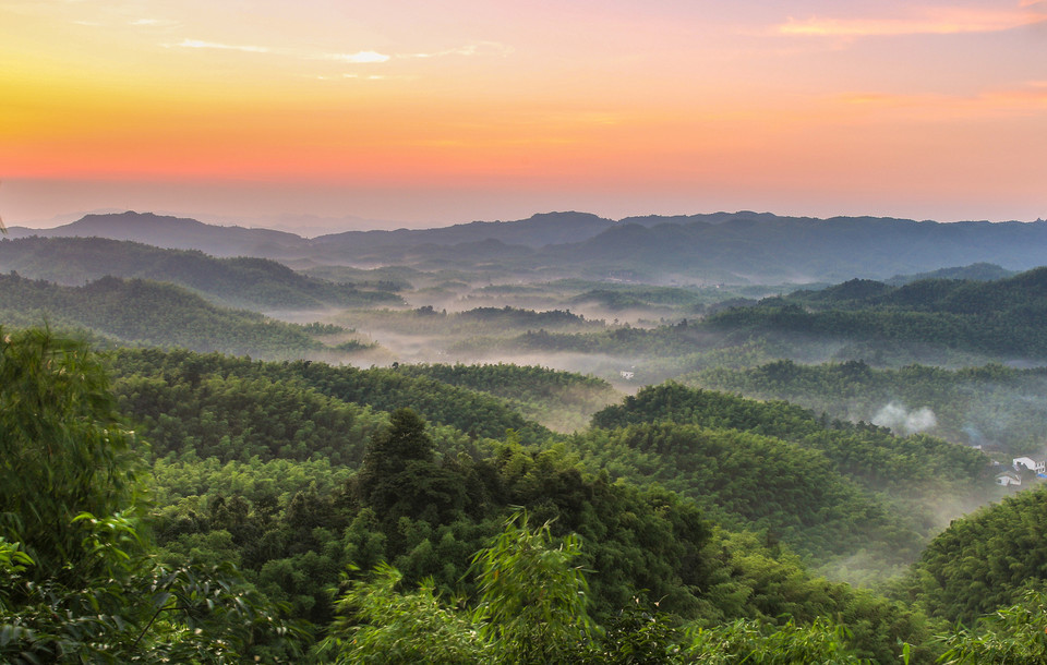大洞竹海景区图片
