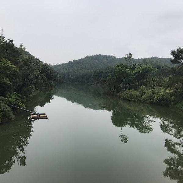 大西坑公园图片