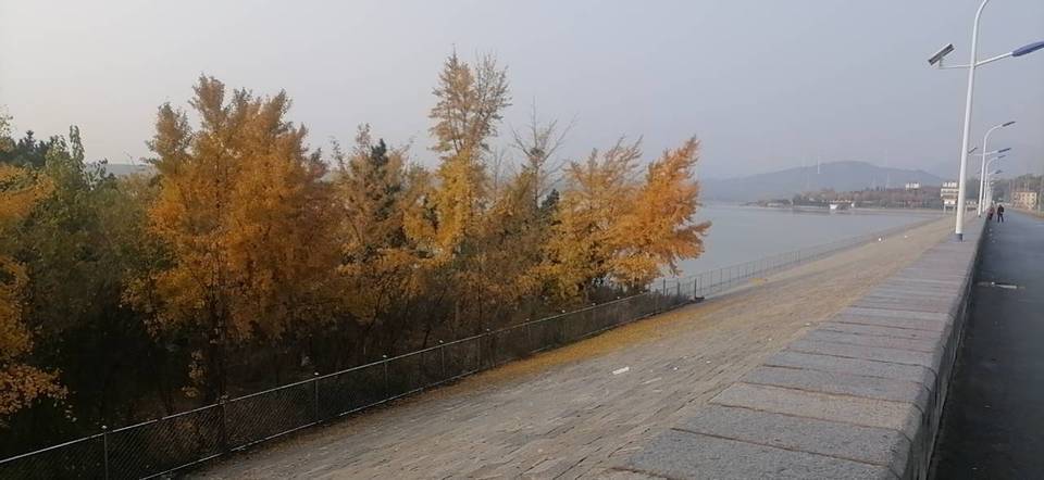 王屋水库地址(位置,怎么去,怎么走,在哪,在哪里,在哪儿):烟台市龙口市