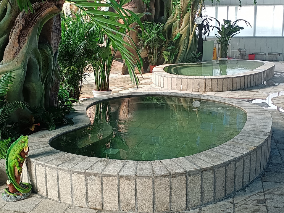 丰台体育中心游泳馆