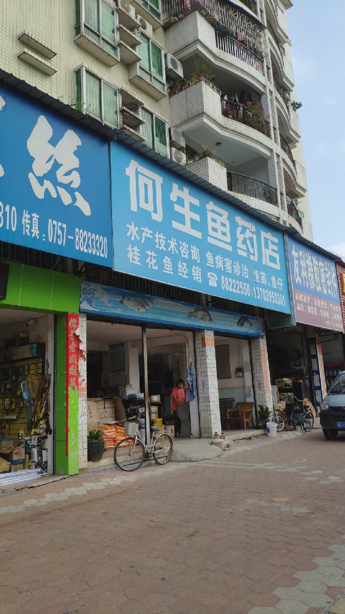何生鱼药店图片