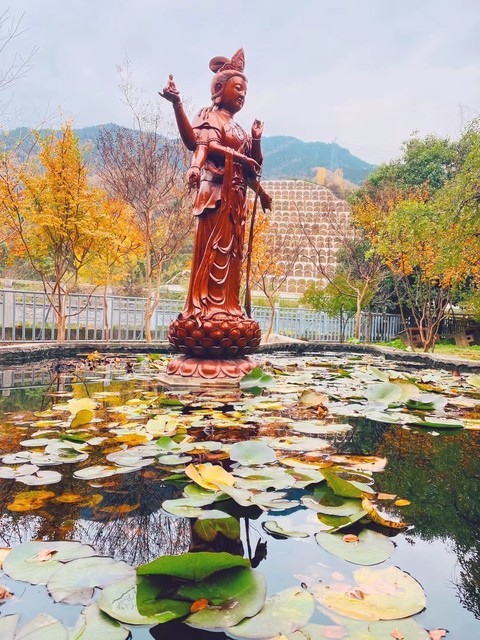 悟真寺风景区图片图片