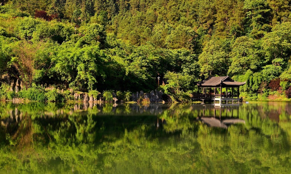 青雲湖森林公園圖片