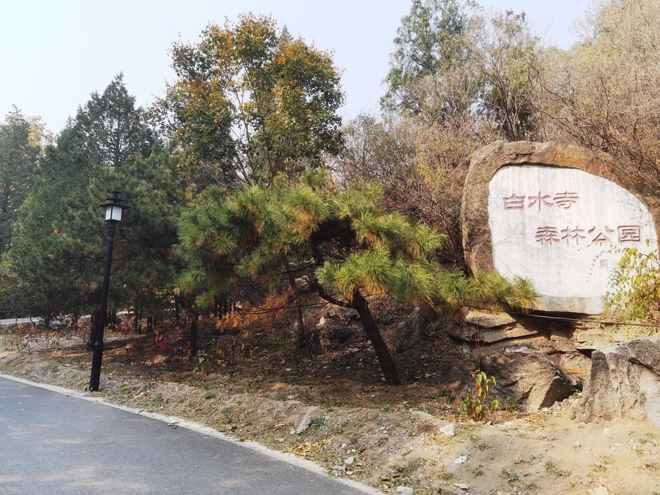 白水寺森林公园图片