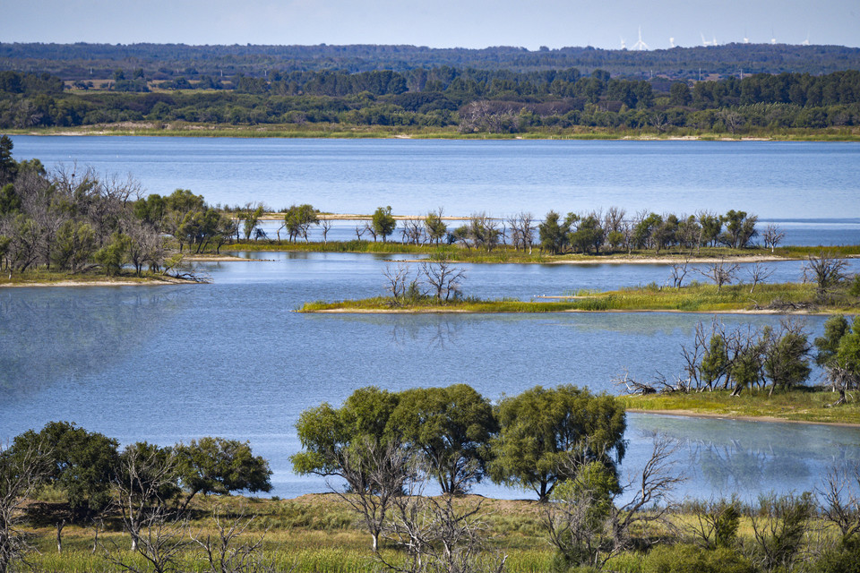 白城向海湿地公园
