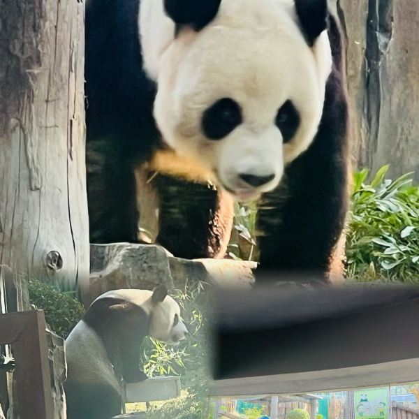 大連森林動物園