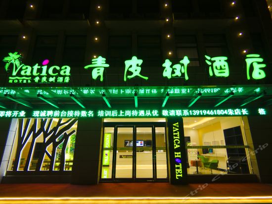 青皮树酒店(六安金寨县桂花公园店)图片
