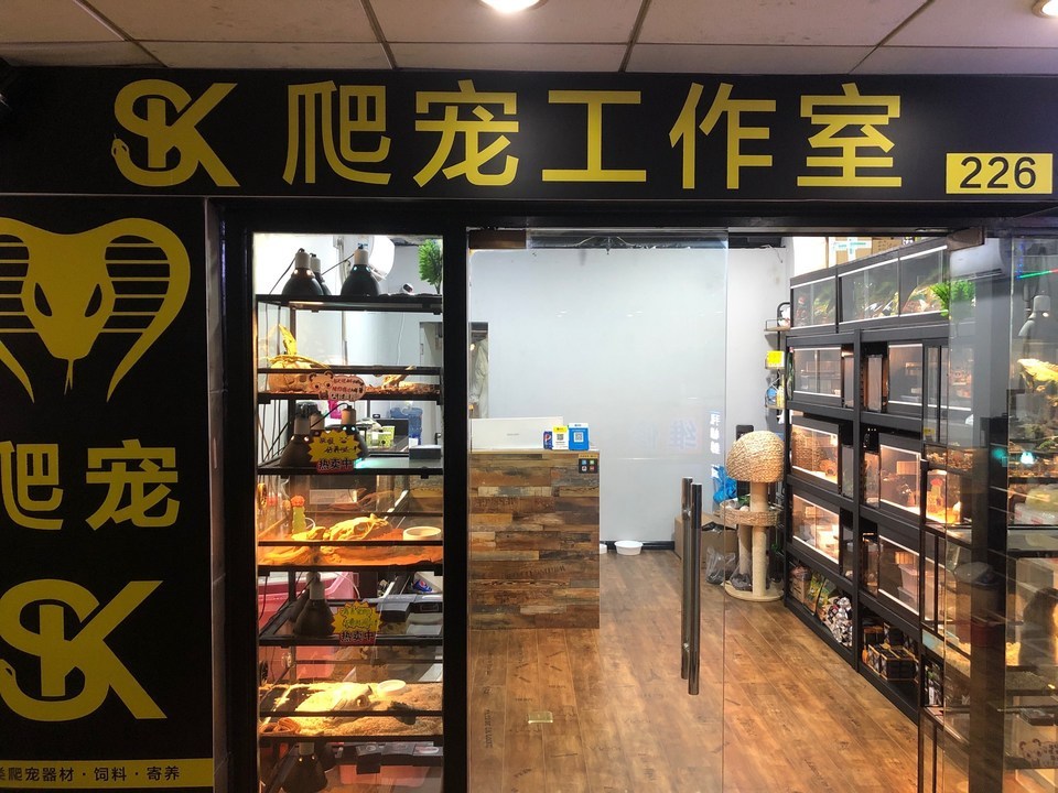 sk爬宠店图片