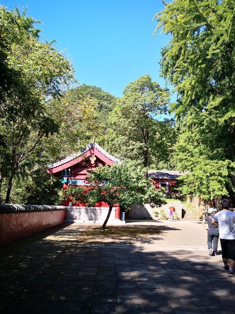 玉泉寺圖片