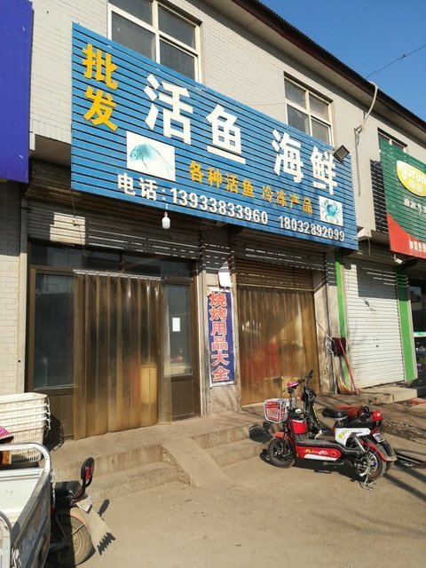 批发活鱼海鲜图片