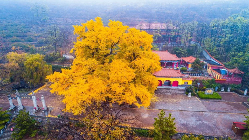 安丘城顶山风景区图片