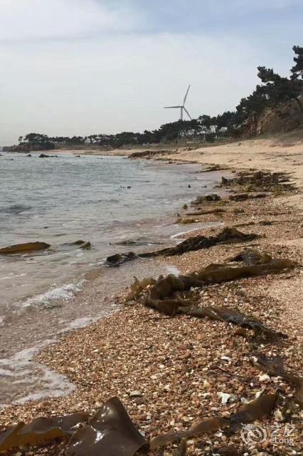 地址(位置,怎么去,怎么走,在哪,在哪里,在哪儿:威海市文登区万家寨路