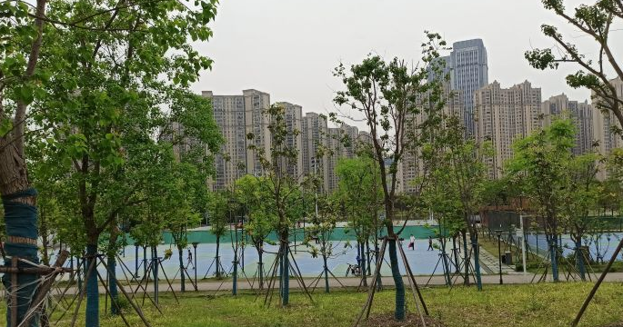 【武汉后湖公园】地址,电话,路线,周边设施_360地图