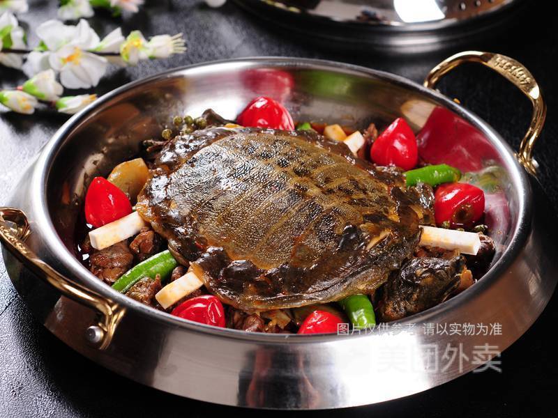 网红麻辣甲鱼图片