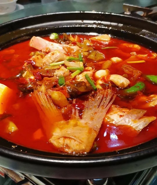 正宗三峡肥鱼火锅图片
