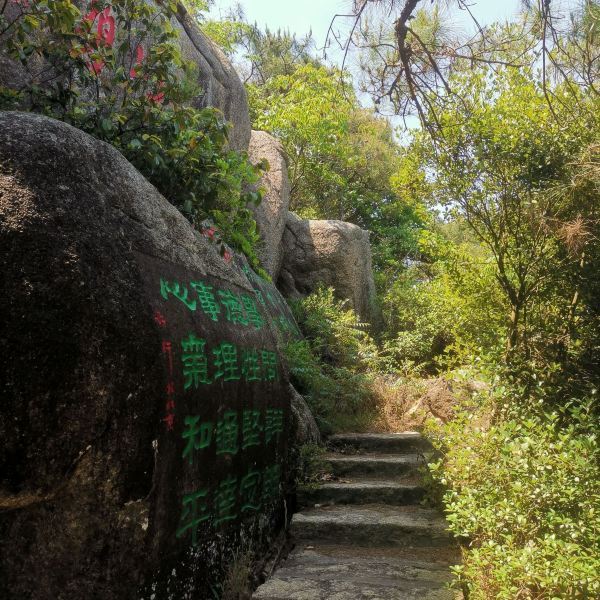 河南黄花山图片