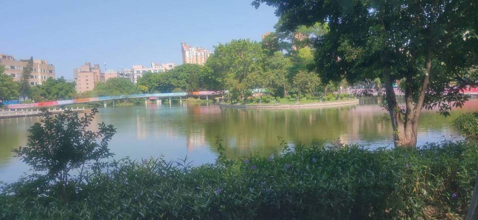 石龙西湖城市公园(西区)图片