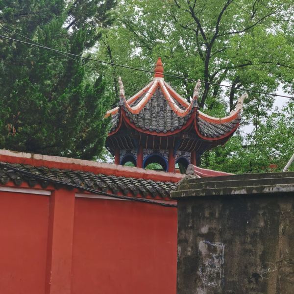 普光禅寺图片