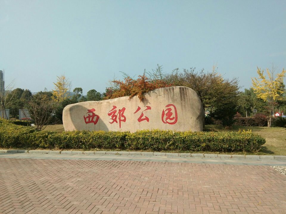 桐城市西郊公园图片